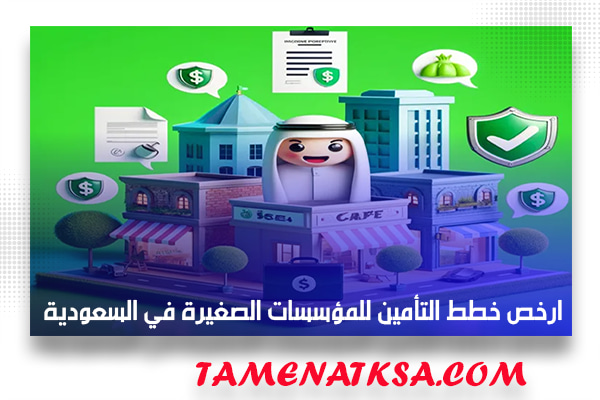 ارخص خطط التأمين للمؤسسات الصغيرة في السعودية